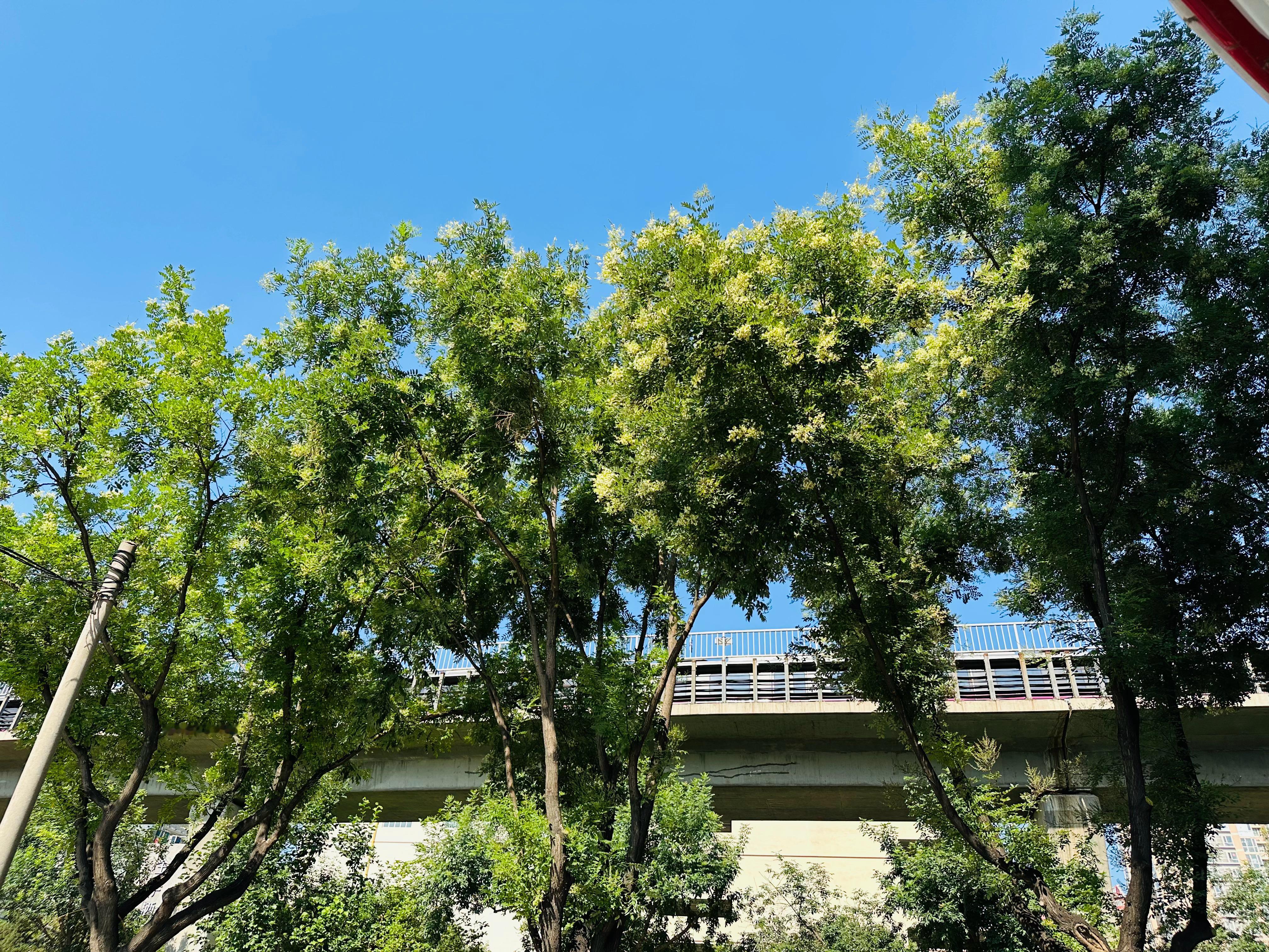 美好的生命应该充满期待、惊喜和感激，早！  ​​​