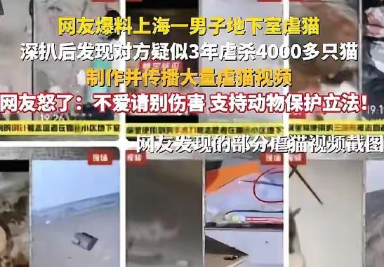 地狱空荡荡，恶魔在人间！
把他对猫作的事在他身上都还回去！
没有法律，这个恶魔就