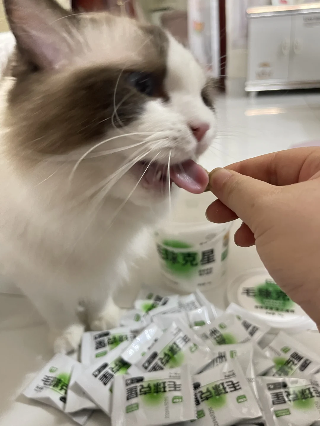 终于找到它主动吃的化毛零食了