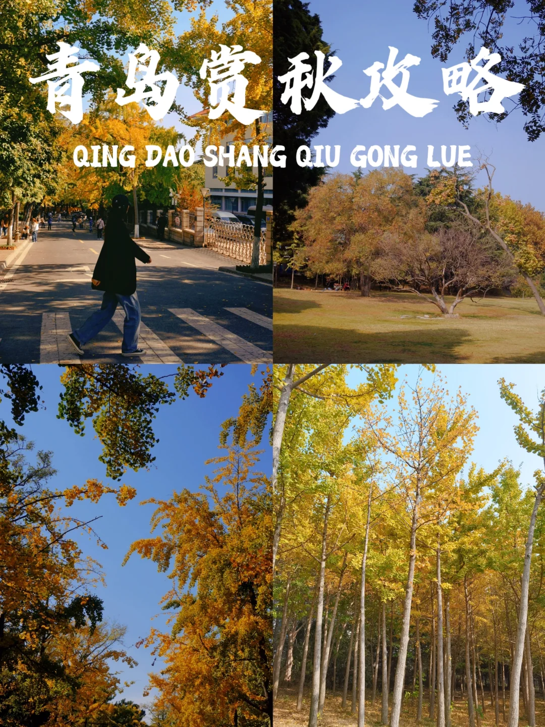 青岛赏秋必打卡的⓭个地方❗看这一篇就够了