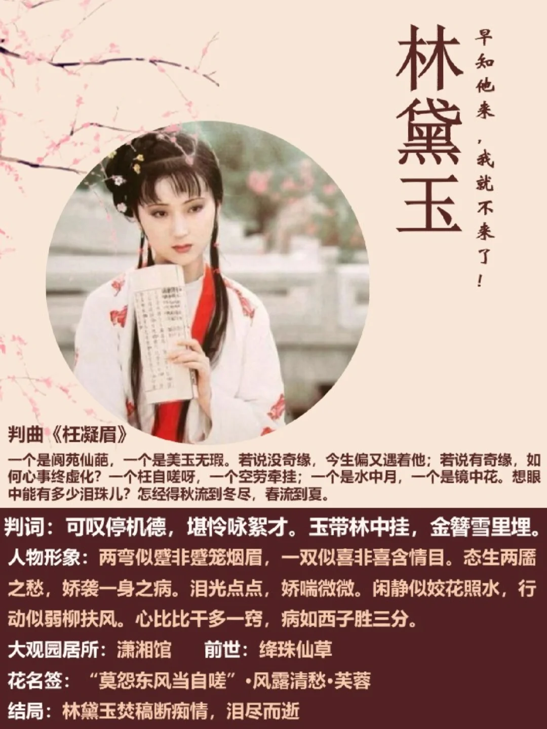 红楼梦4：林史王薛命运兴衰❓