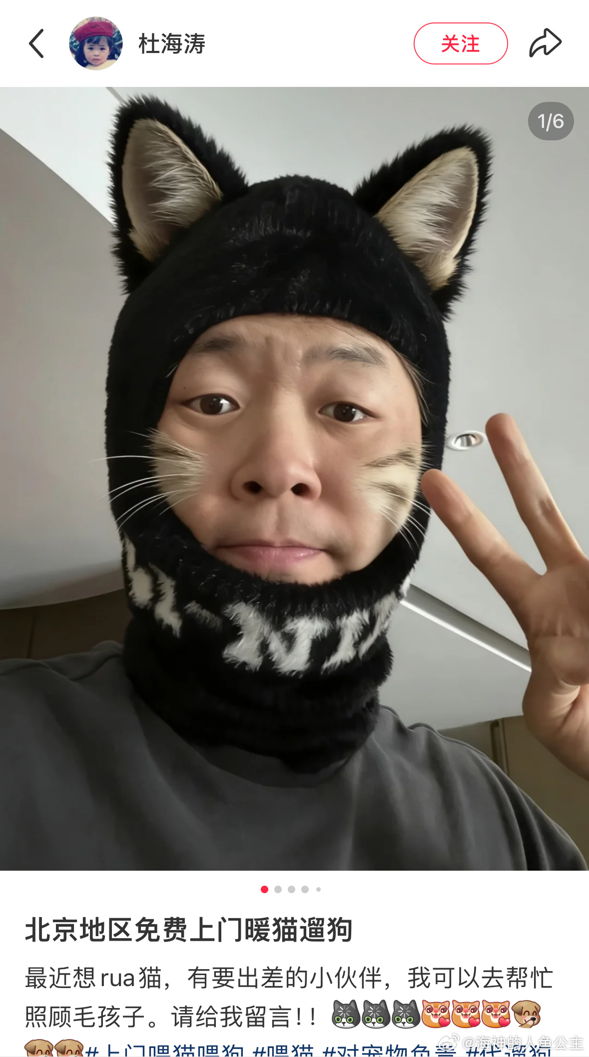 杜海涛在线上门暖猫遛狗北京ip的有福了（但是这个ai特效挺好，建议海涛别用了