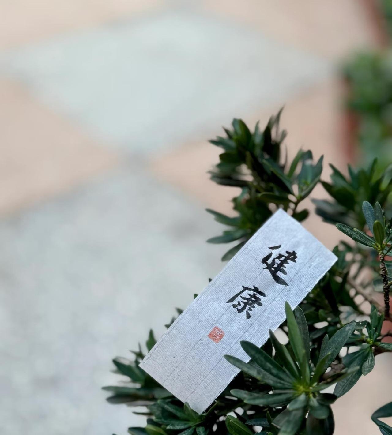 去医院拍个颈椎和肠胃片子，光检查费就干进去小两千，你敢信这全是平时那些不起眼的破