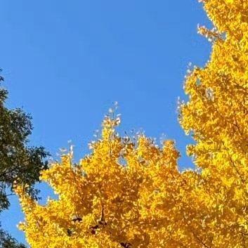 人永远不能停止梦想。梦想是心灵的养料，就像饭菜是身体的给养。人生路上我们常会看见