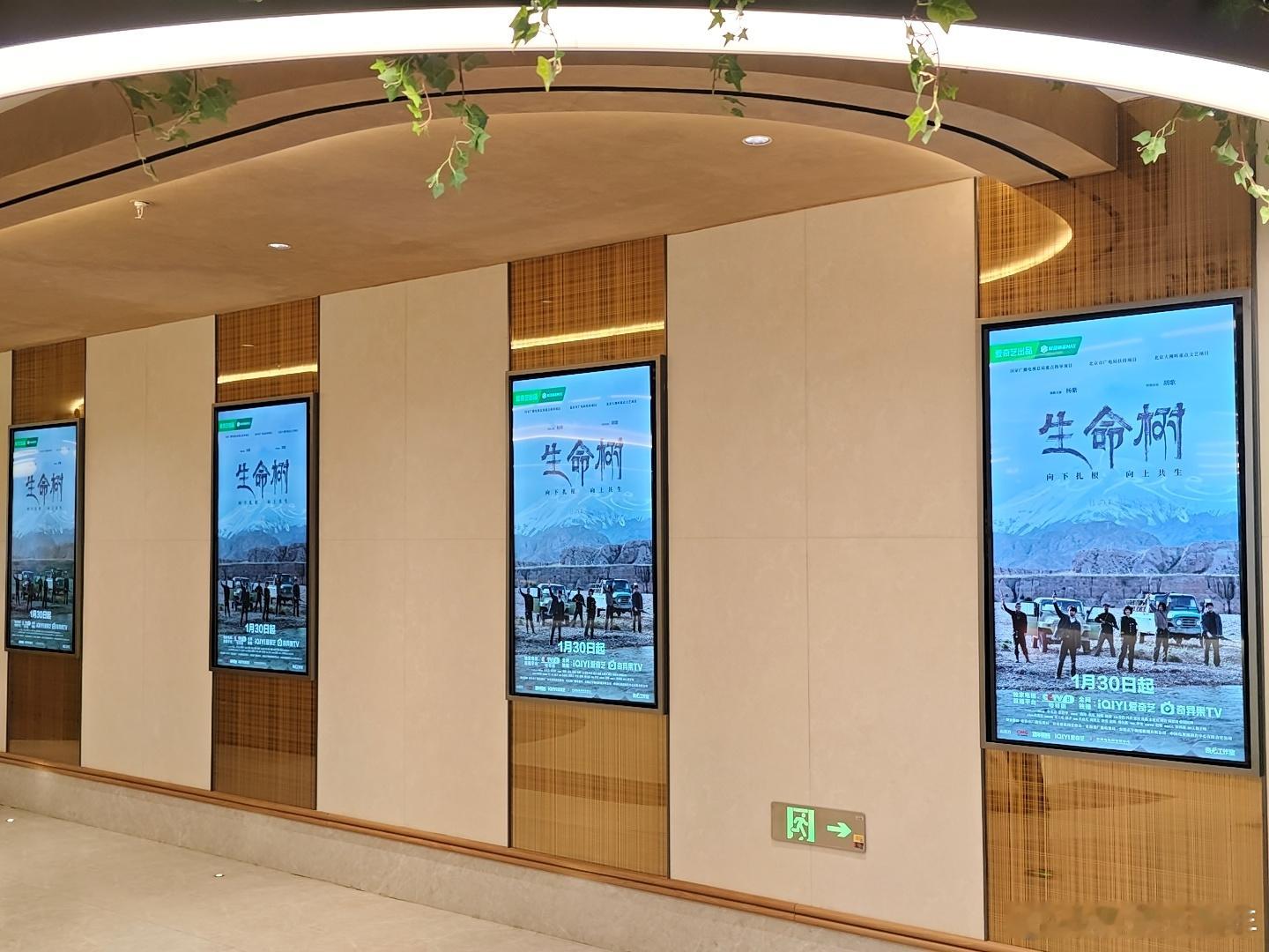 生命树发布会电视剧生命树 被生命树的服化道细节狠狠打动，演员脸上自然的高原红，身