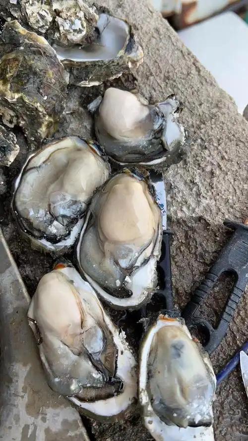 花几千块买的免疫补品，或许不如菜市场一只牡蛎管用。
 
资本把免疫力包装成高价补