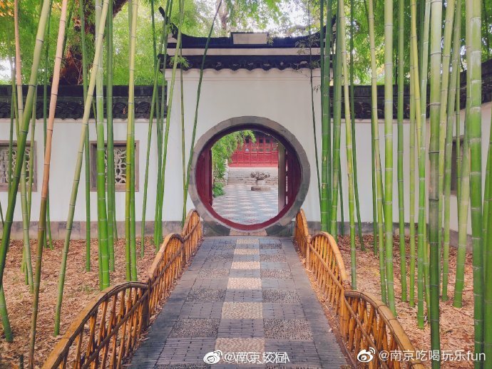 南京生活  朝天宫｜绿瓦红墙，落花知秋🍂（via. WQ_ZXA ） 