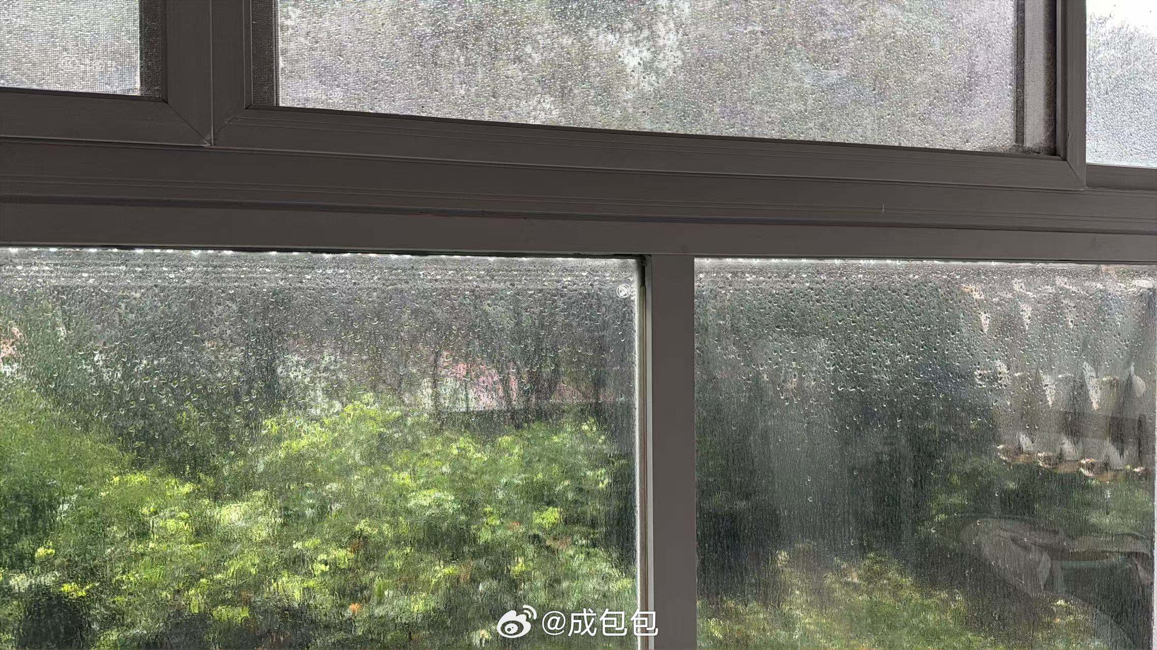 上海暴雨预警升至橙色雷暴雨真吓人 