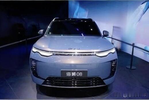 新能源汽车技术看谁家？当然是比亚迪：

1、比亚迪实业，于1995 年 2 月在