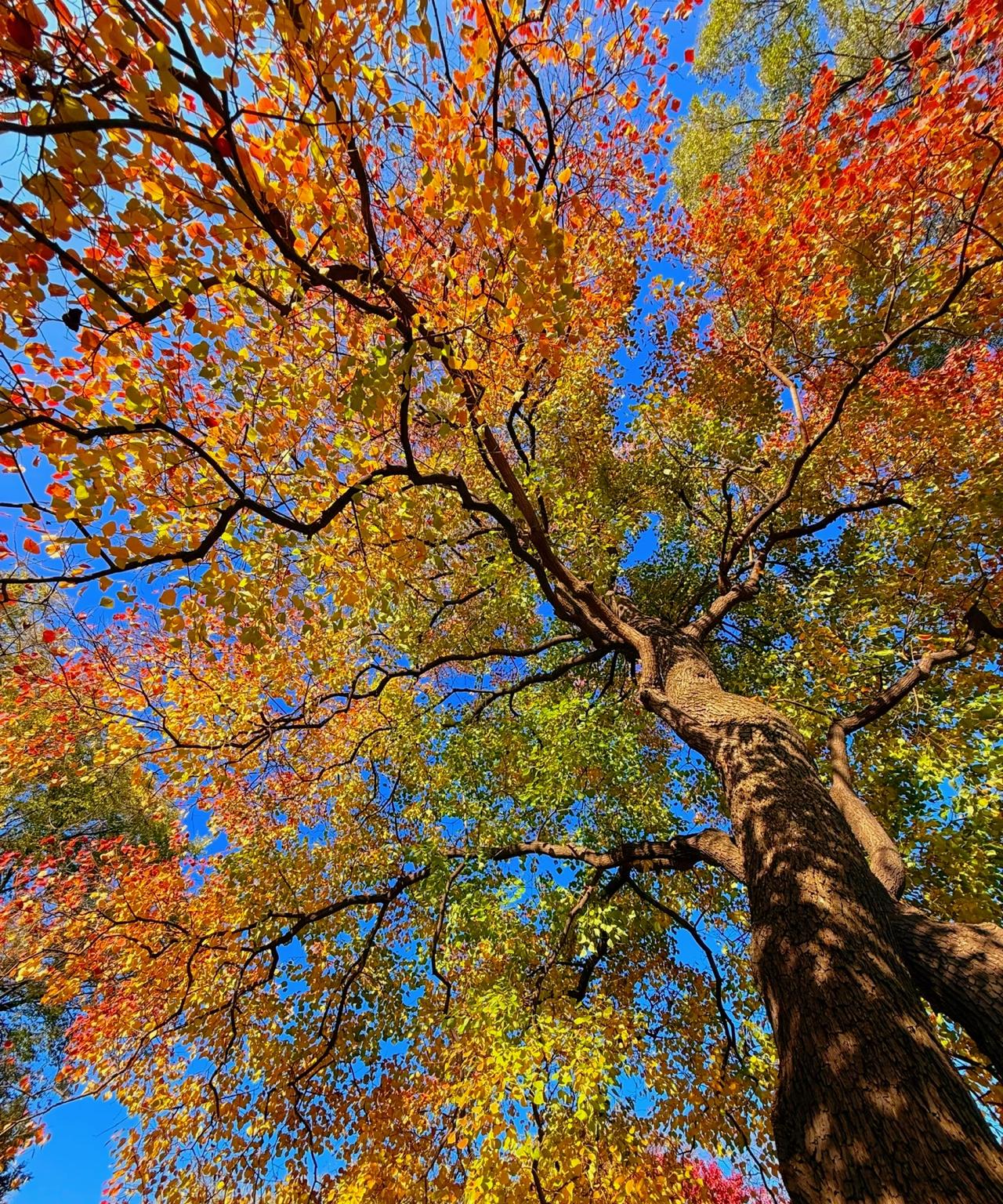 现在美女还是稀缺资源吗？
美女不稀缺，稀缺的是能把她们集中到你面前的场景。
有网
