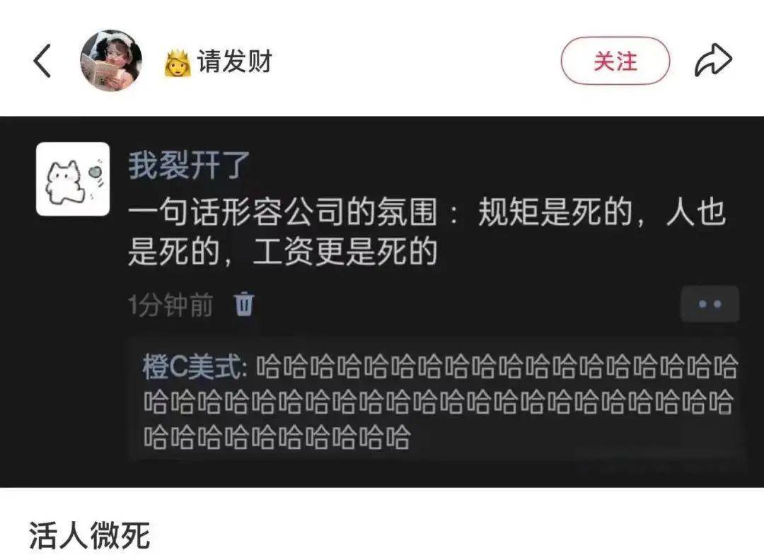 唯有安装了监控的公司才能这般死气沉沉 