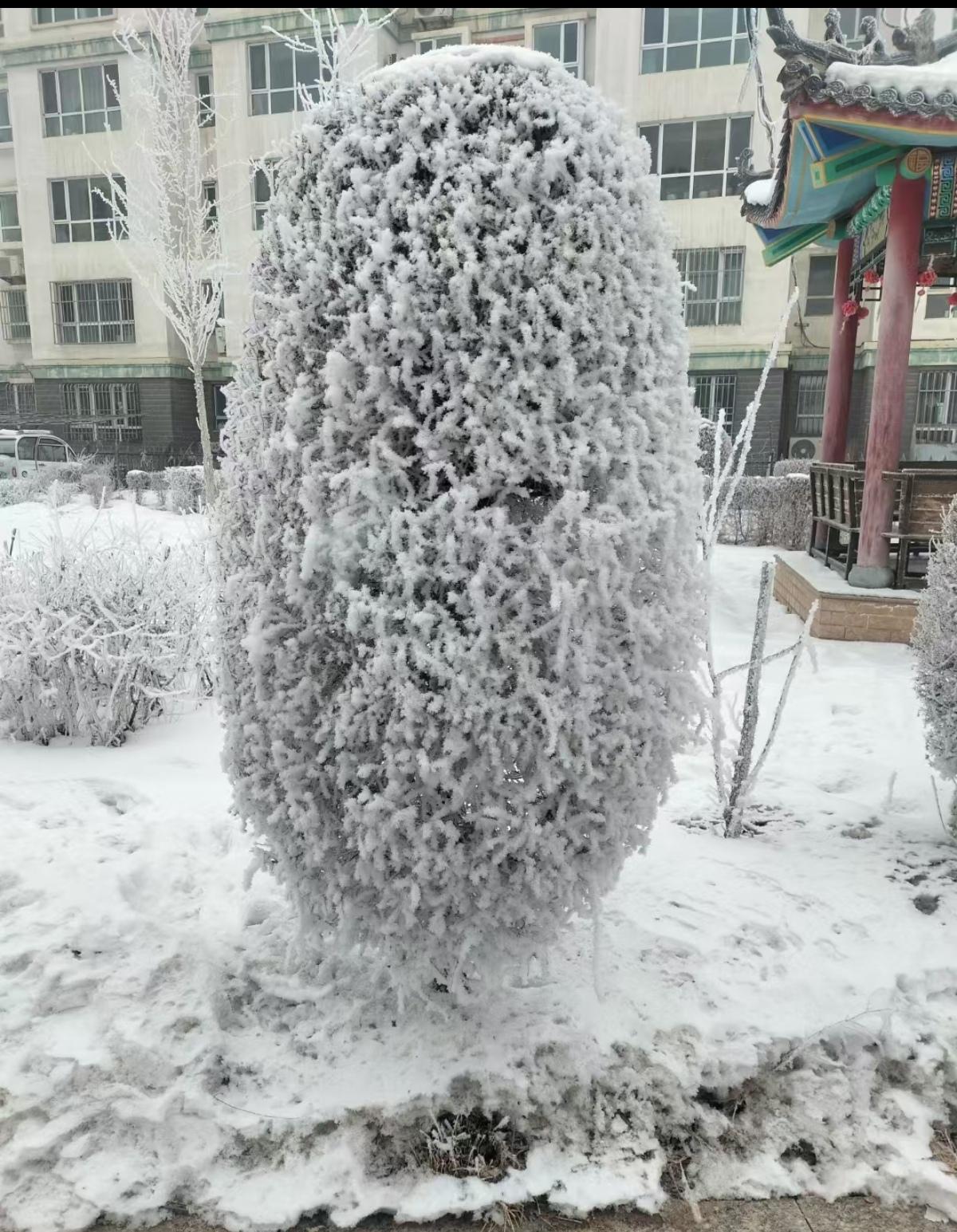 上联：夏雨荷花艳，下联才子请冬雪树叶白。