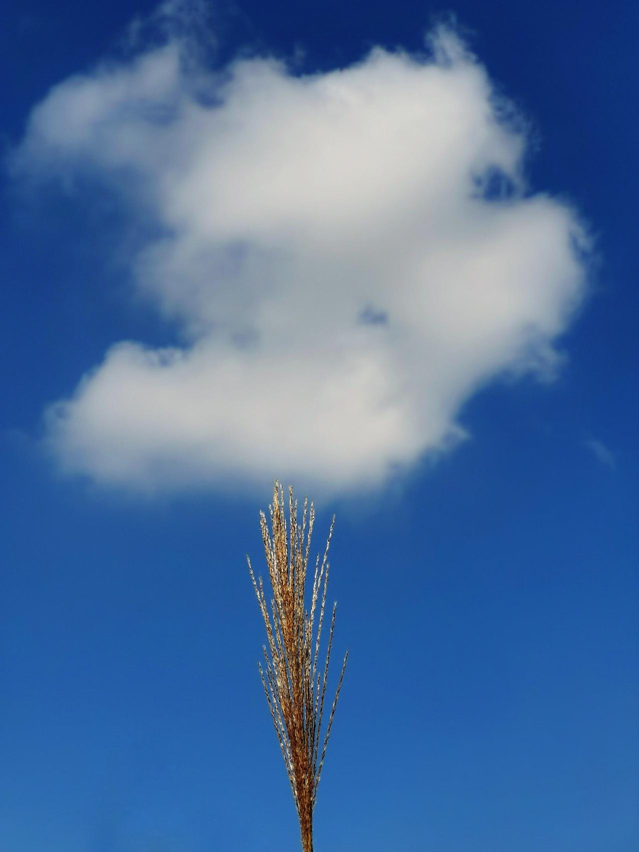 情绪这玩意就像调皮的云彩，说来就来，说走就走。《金刚经》讲“应无所住”，老祖宗两