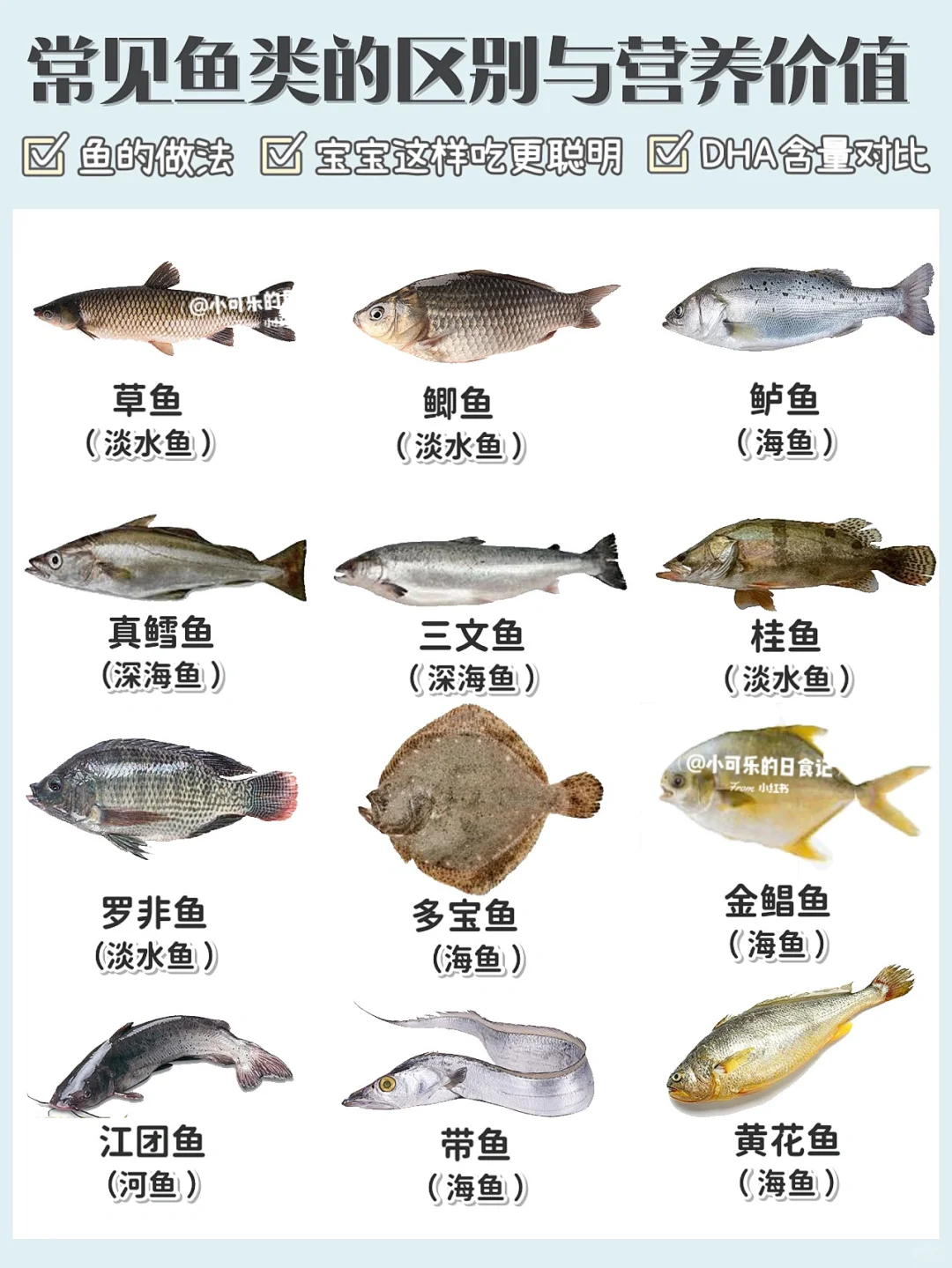 【鱼类说明书】常见鱼的区别营养价值和做法✅