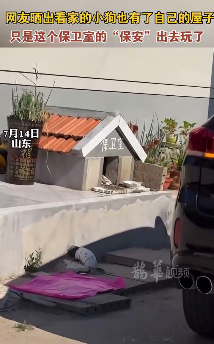网友晒出看家的小狗也有了自己的屋子，只是这个保卫室的"保安"出去玩了。
来源：圣