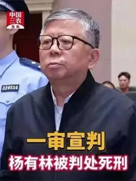 杨有林受贿22.14亿余元，判处了死刑！

看到这个数字，好奇的查了一下，最后核