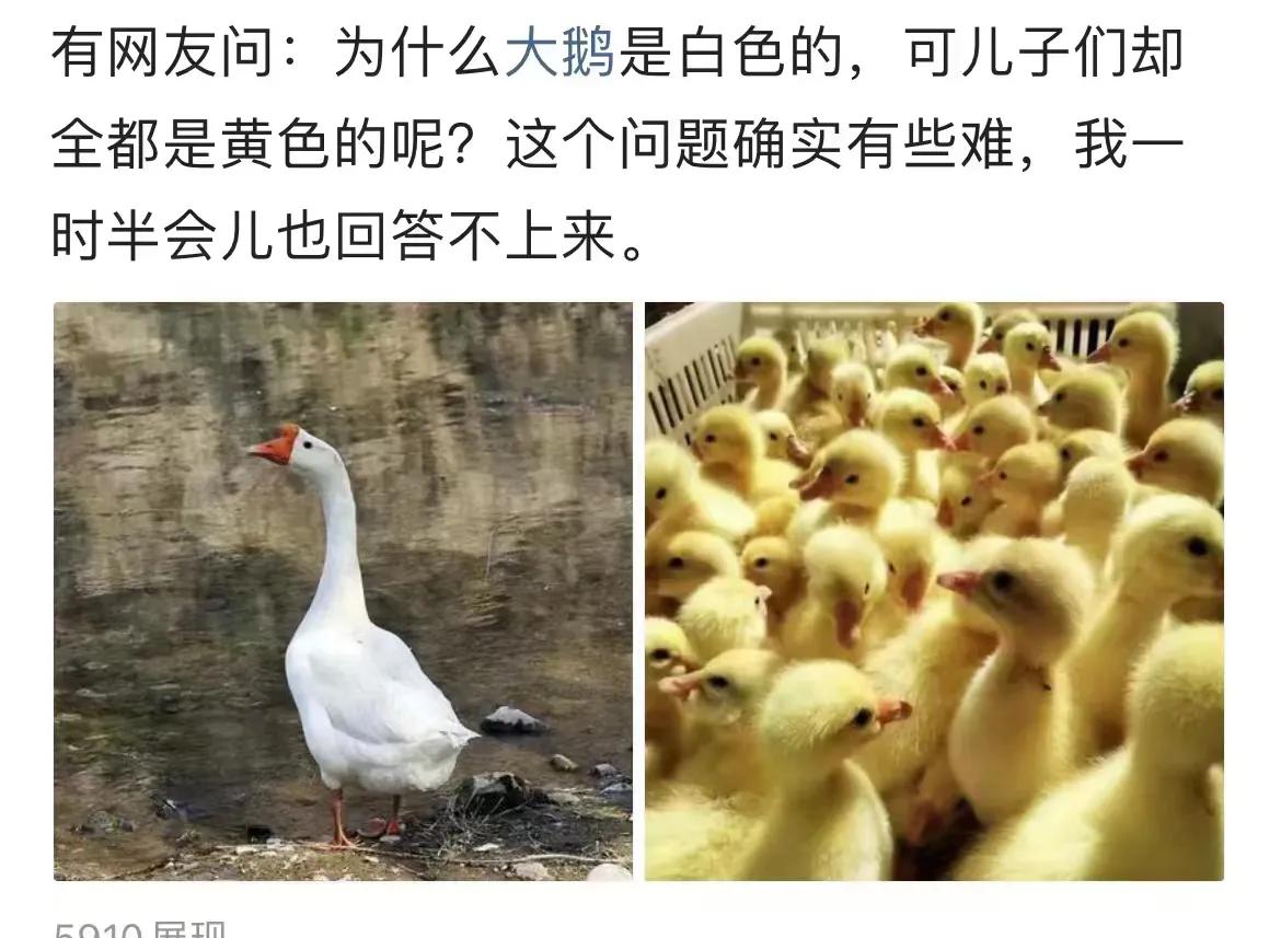 这个问题谁能回答呢？