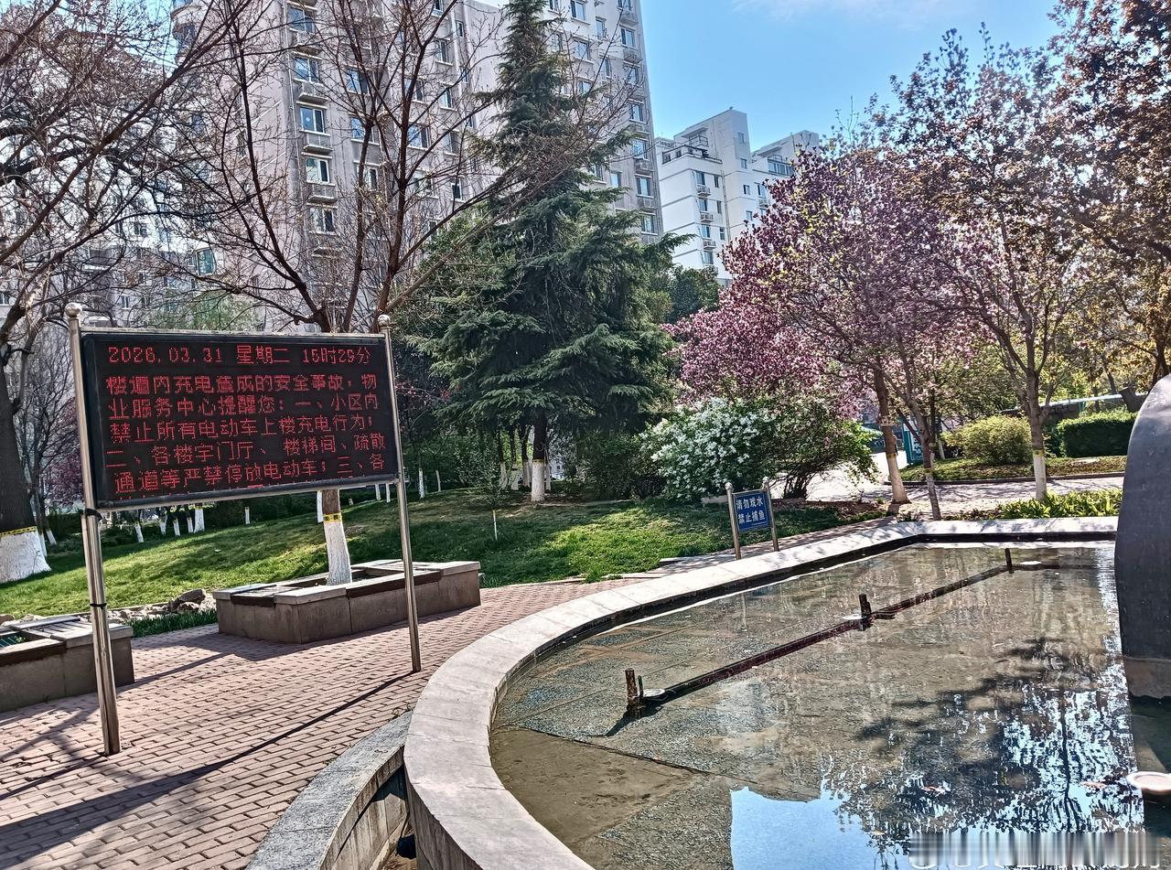 “群龙无首”的困局，大家各执一词，最后往往是问题堆积，环境失管，费心费力却难有共