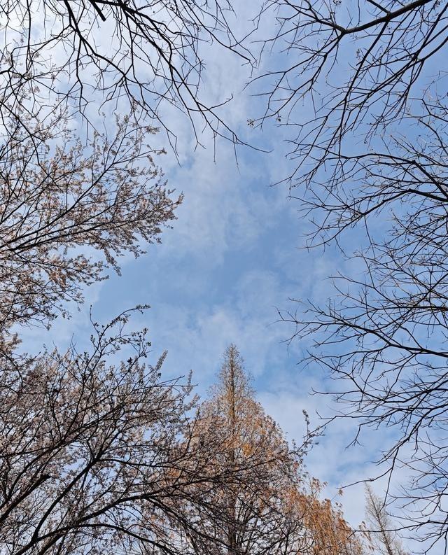第一：理想与现实的落差太大。还记得之前问师兄师姐规培都作什么工作，说是可以独立管