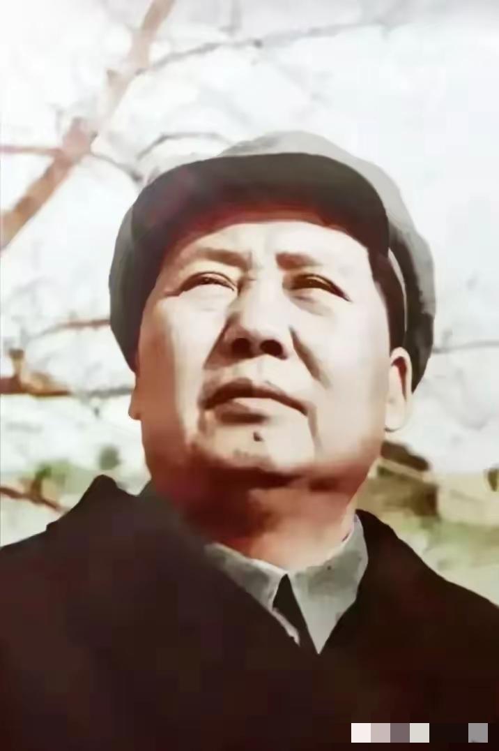 当历史褪去滤镜、回归真实，毛主席的伟大形象，反而在岁月里愈发熠熠生辉！
 
小时