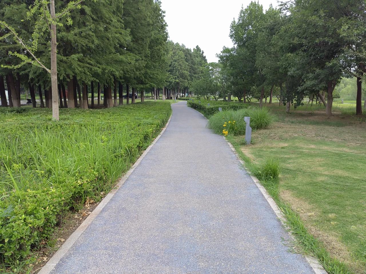 晒图笔记大赛天空蓝蓝，绿树成片