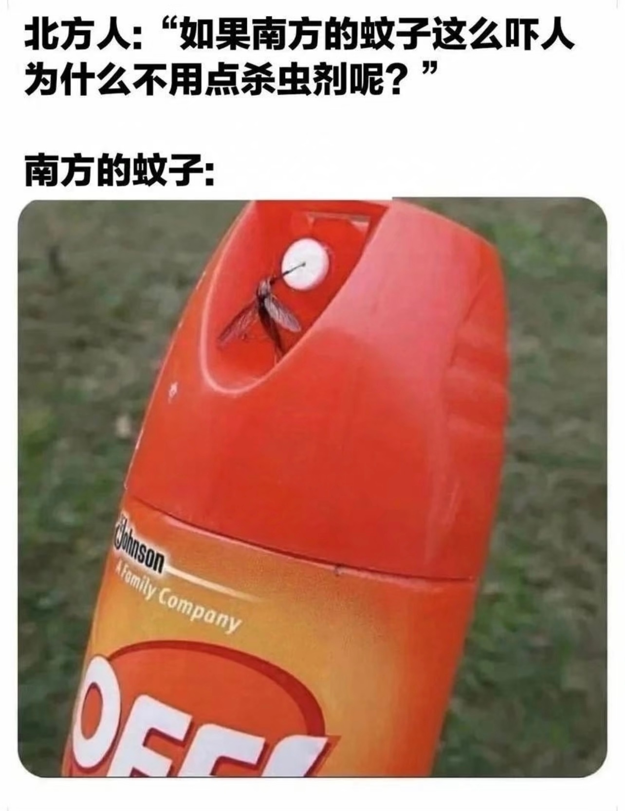 五二，艮为山重重关锁，步步为营注意肠胃，呼吸宜：祭祀 祈福 开市 交易 求财 签