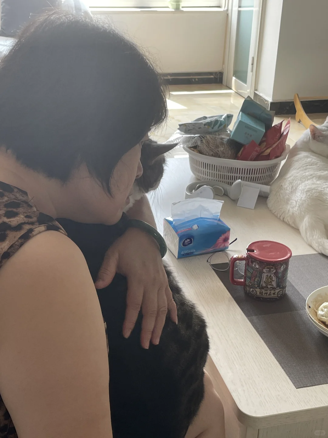不热的时候我妈是这样哄猫的