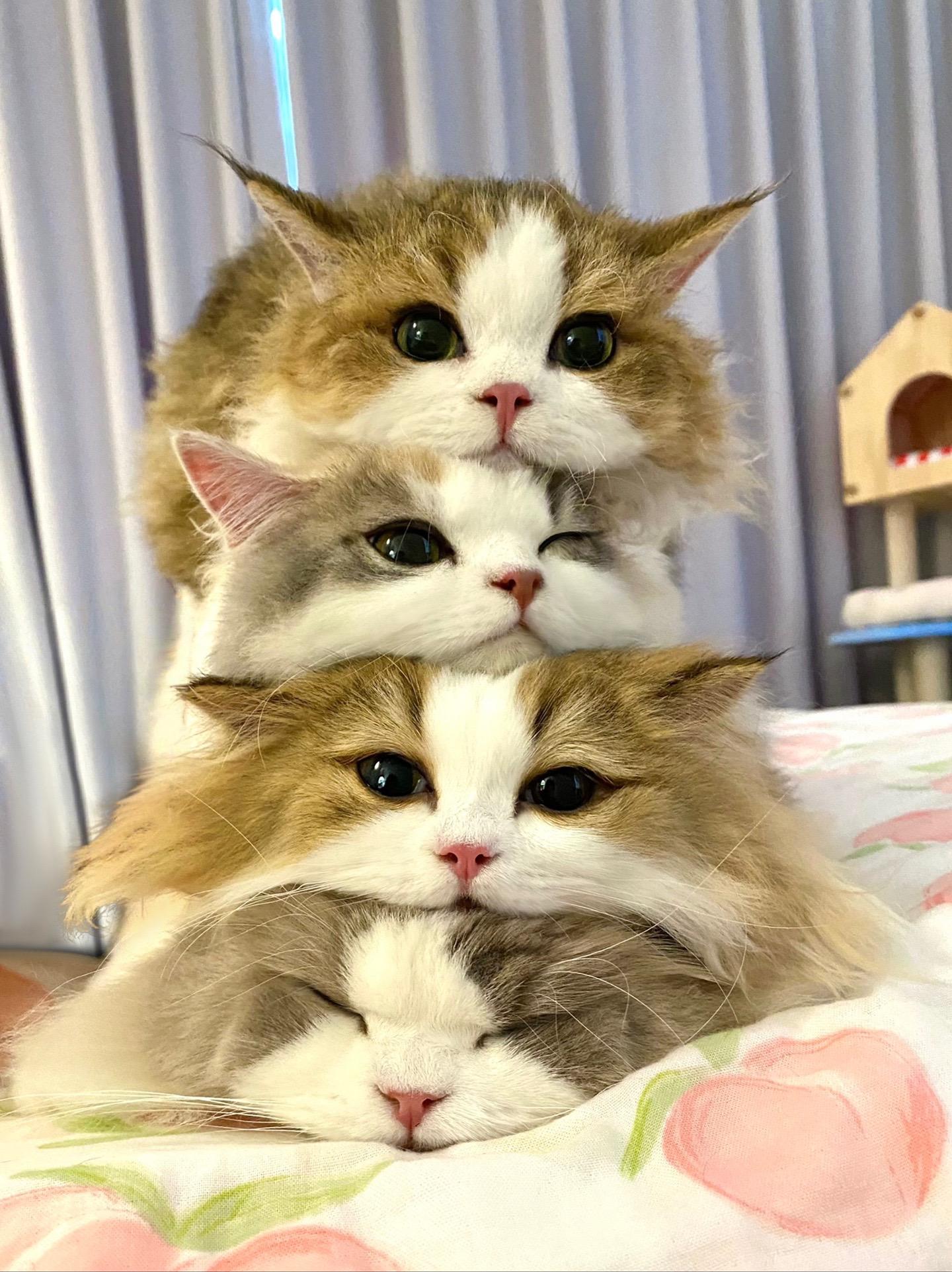 叠起来好像更暖和诶！