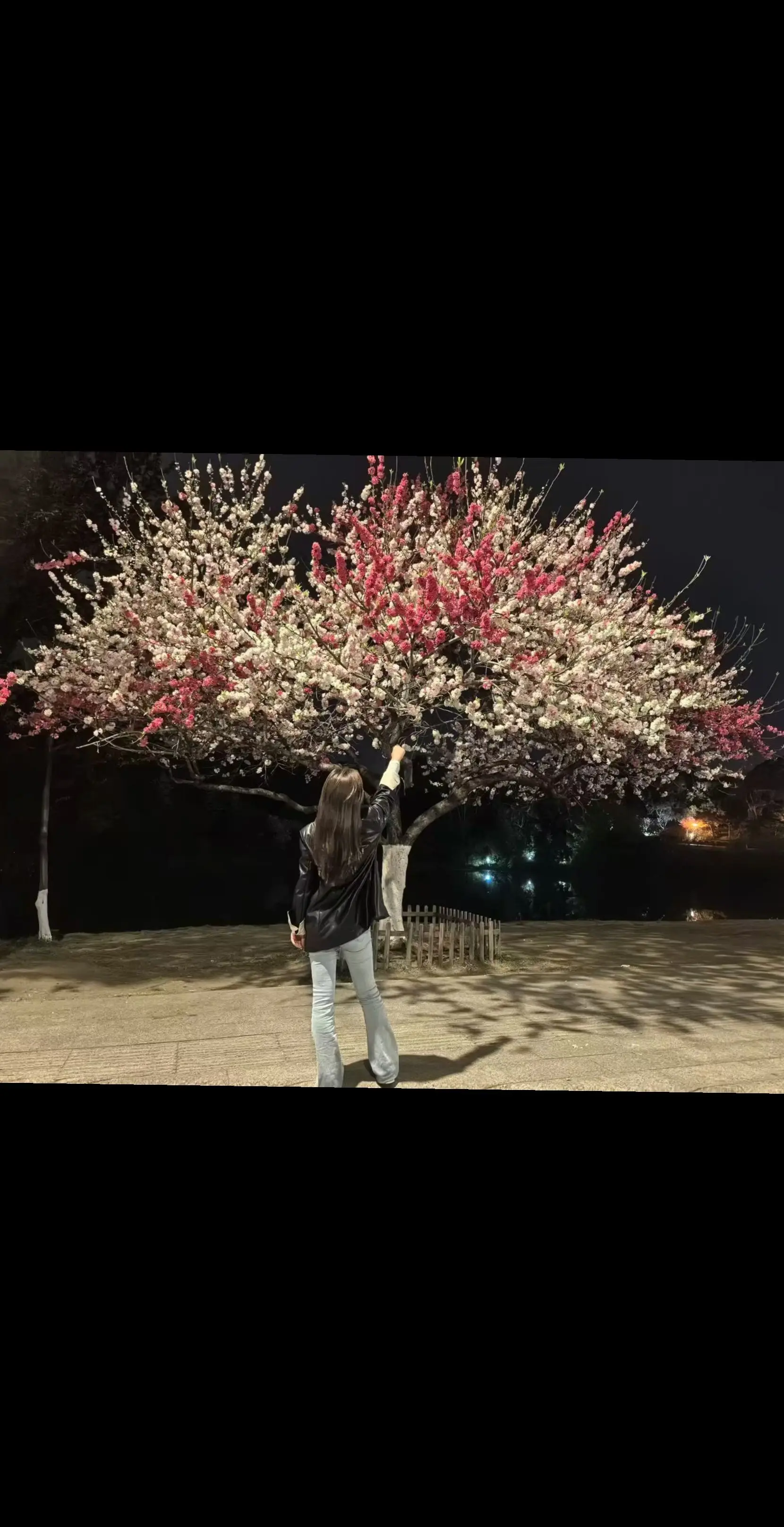一程有一程的磨练，一站有一站的风景，望可望之事，待可待之人