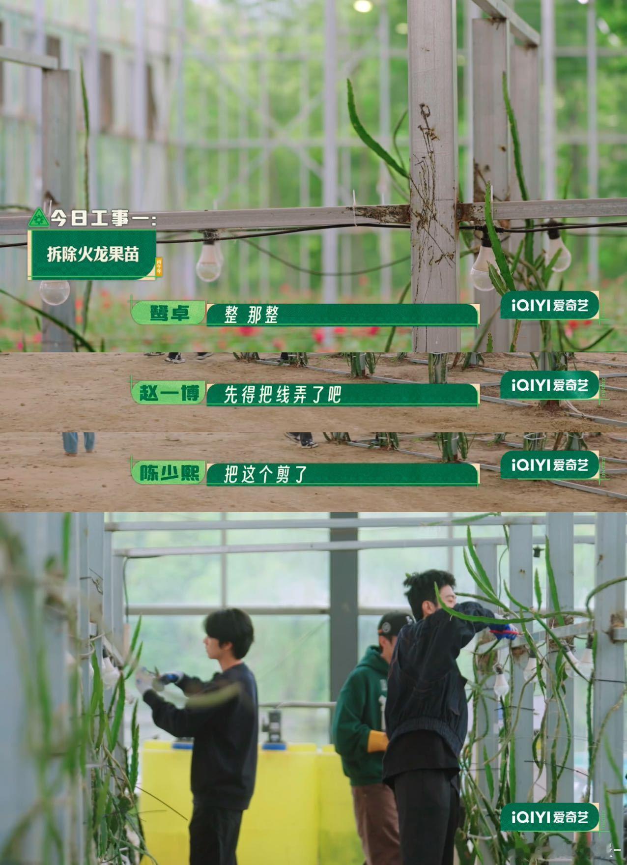 十个勤天对大棚就像我对我心肝种地吧后陡门大棚拥有全员专属偏爱！听取专业老师的建议