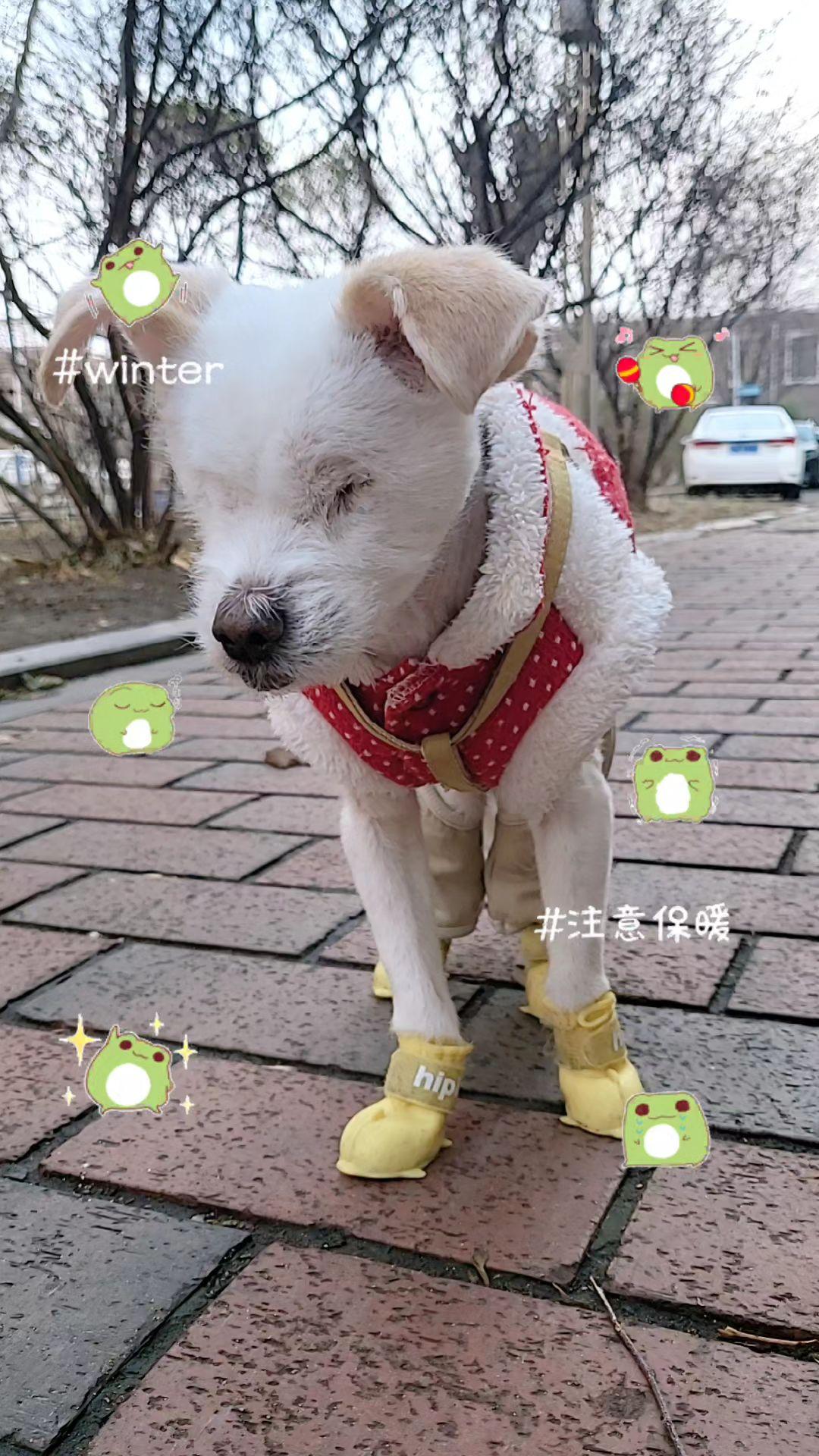 别总教我怎么去喂流浪猫，有去买肉沫，又煮鸡胸肉，又得加热，你说你天天这...