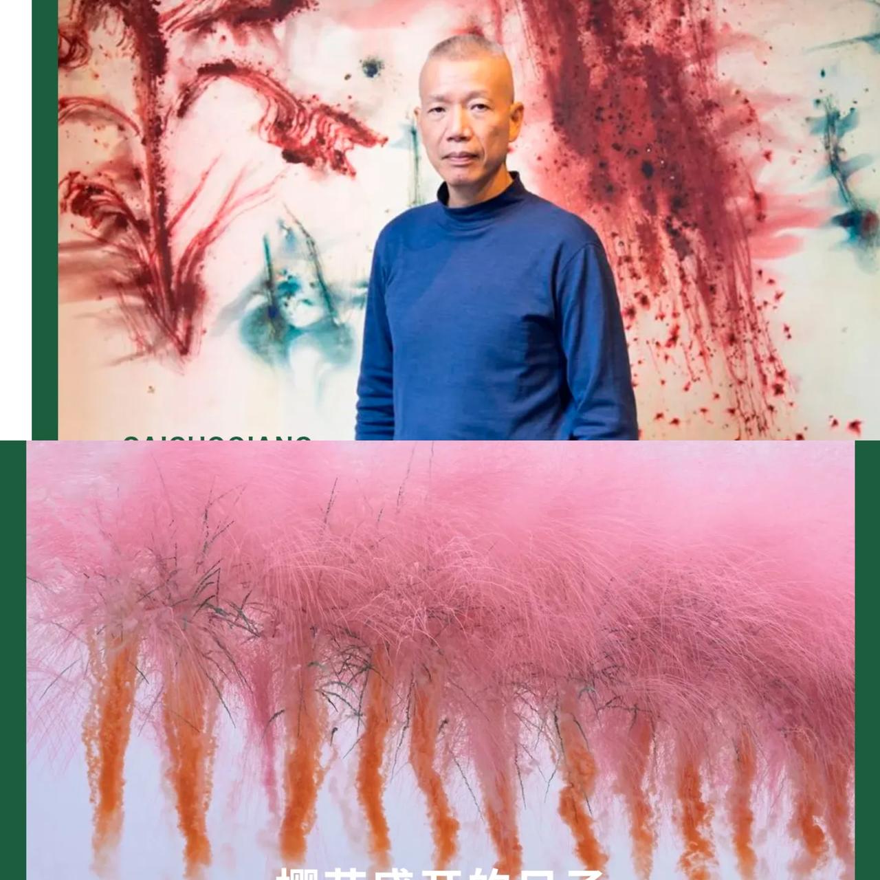 这下都看清了！不止蔡国强，好多长期在海外搞艺术的，路子都差不多——人常年住国外，