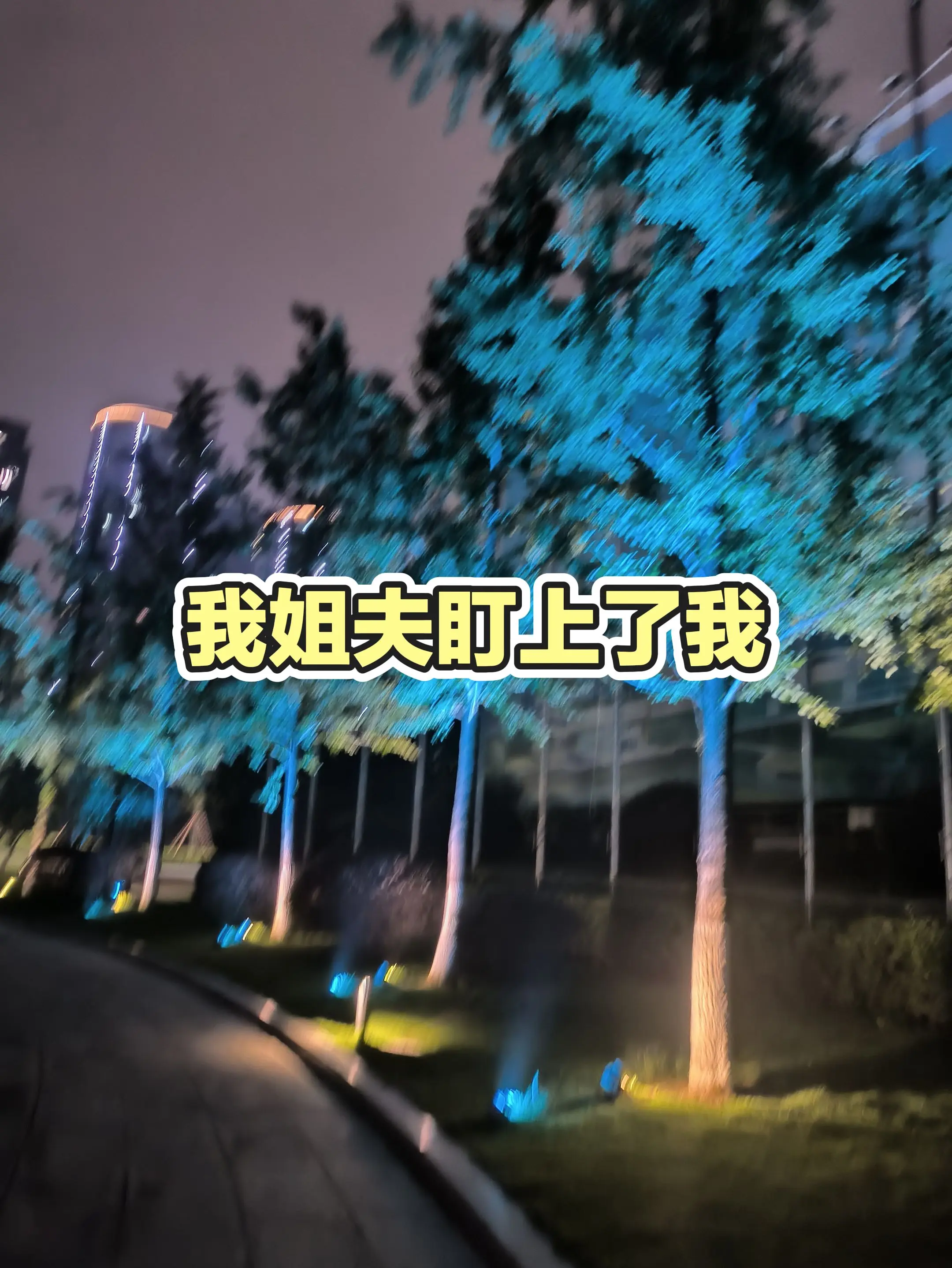 每日分享