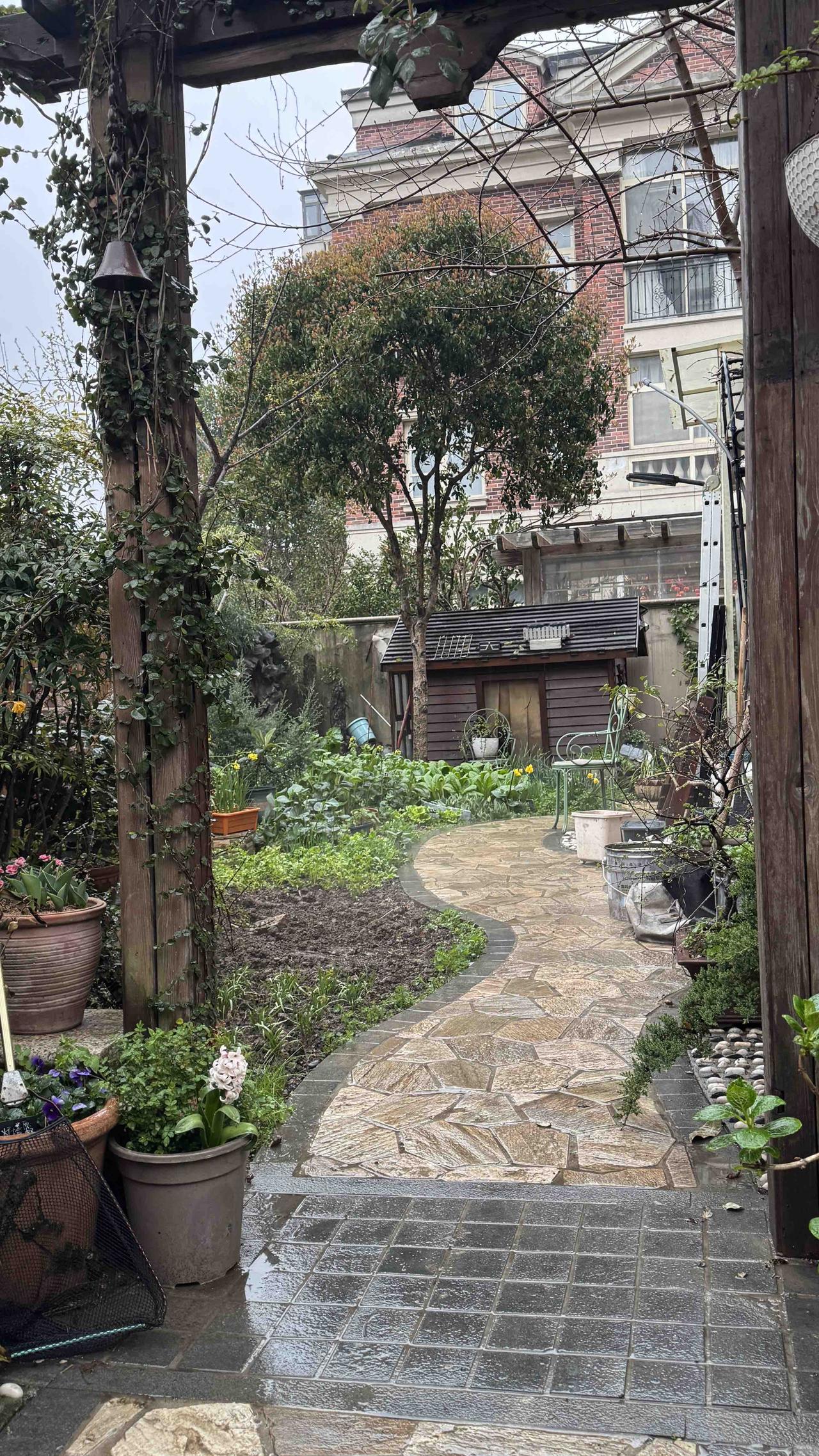 分享一张最近随手拍的照片小院栽花，竹篱围春，风过花影，静守日常。