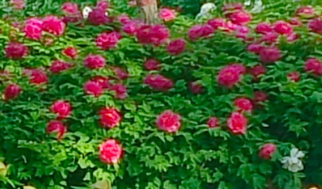 外出9天归来，对自己提出2个要求，必须立即付出行动。

1.对老爸必须做到和颜悦