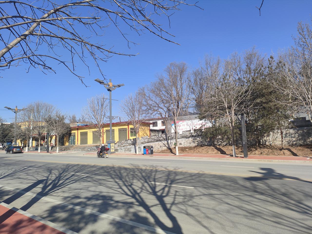 🔵 蓝天把澄澈泼向长街，秃枝在路面织出墨色的网，车辆驶过，惊起碎金般的光屑。