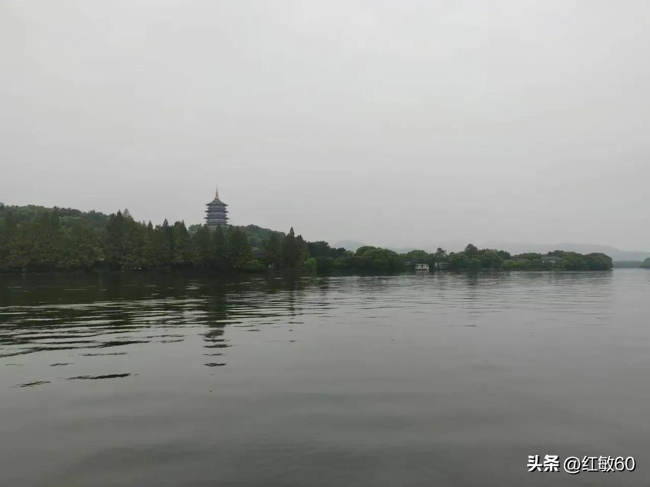 离火运年的火🔥，
真的好旺~
上海，已连续40多个高温天了，每天37~8度，没