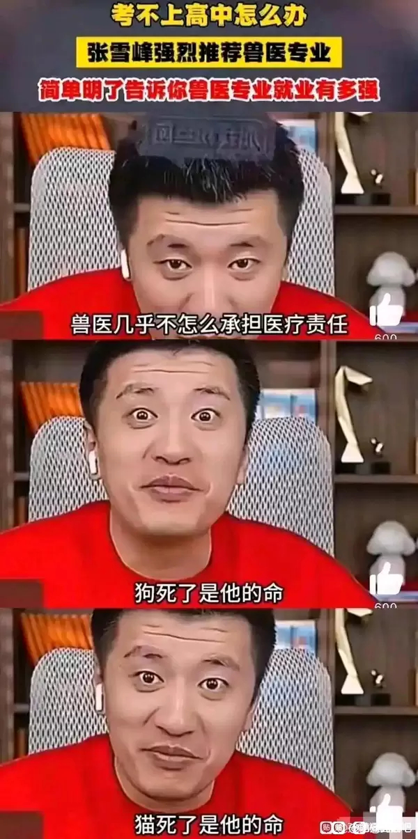 狗:我好痛，我好难受。兽医:我不知道你在狗叫什么(◔◡◔) 