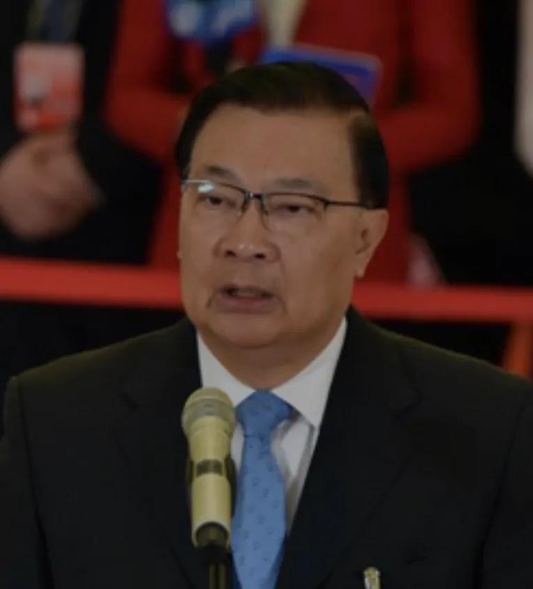 前港区全国人大代表谭耀宗认为，过去因选举关系，香港社会被笼统划分为三类人士，分别