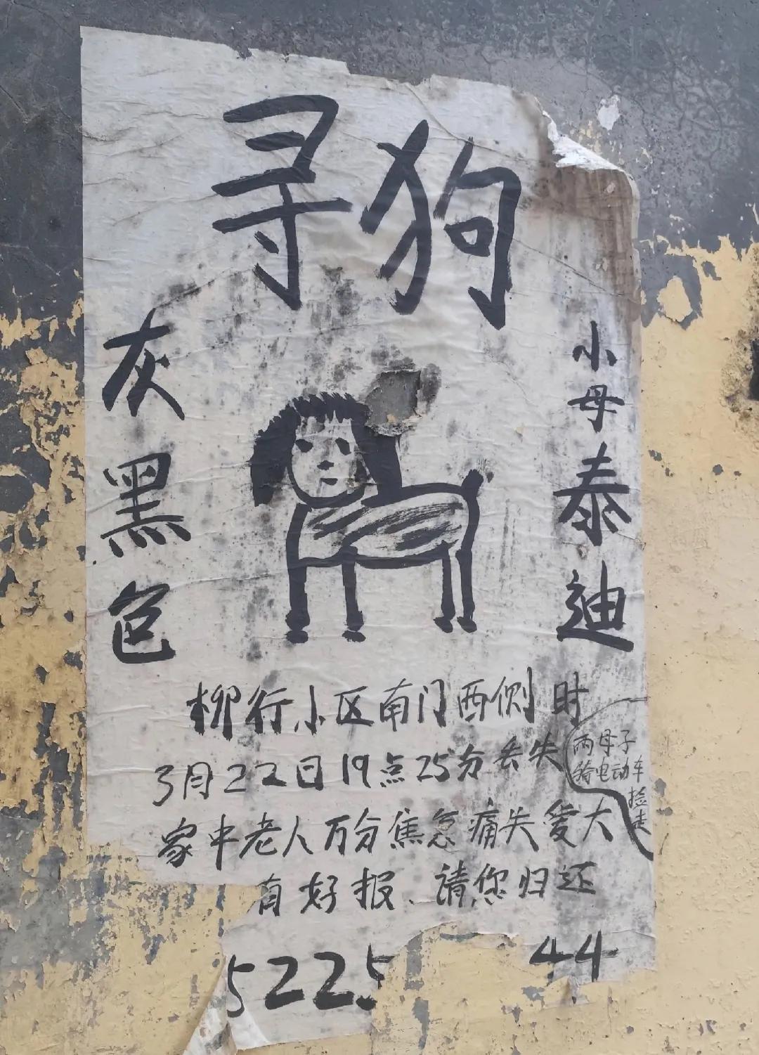 这个寻狗启事多少有点潦草！不过能看出来确实是老人手写的。画成这样也不知道能不能认