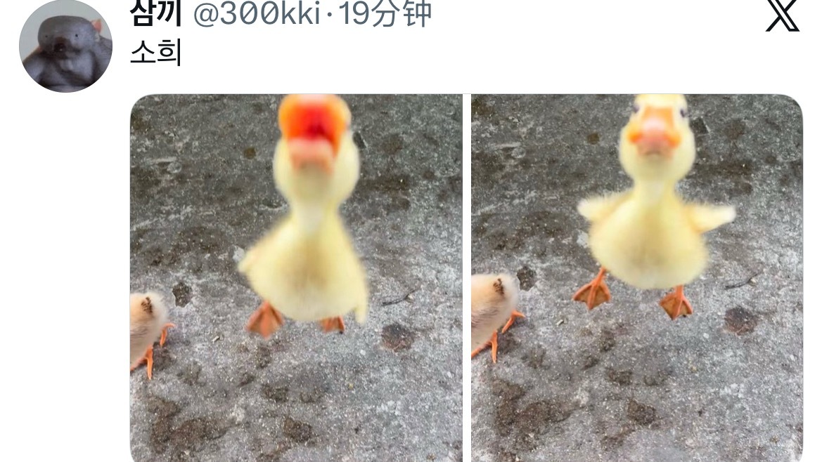 代餐