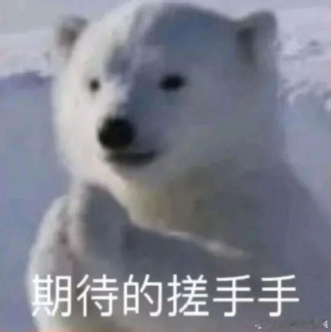 养宠物会替你解决相亲的烦恼 爱宠物的人，内心大多温暖柔软，用这份共同热爱，轻松开