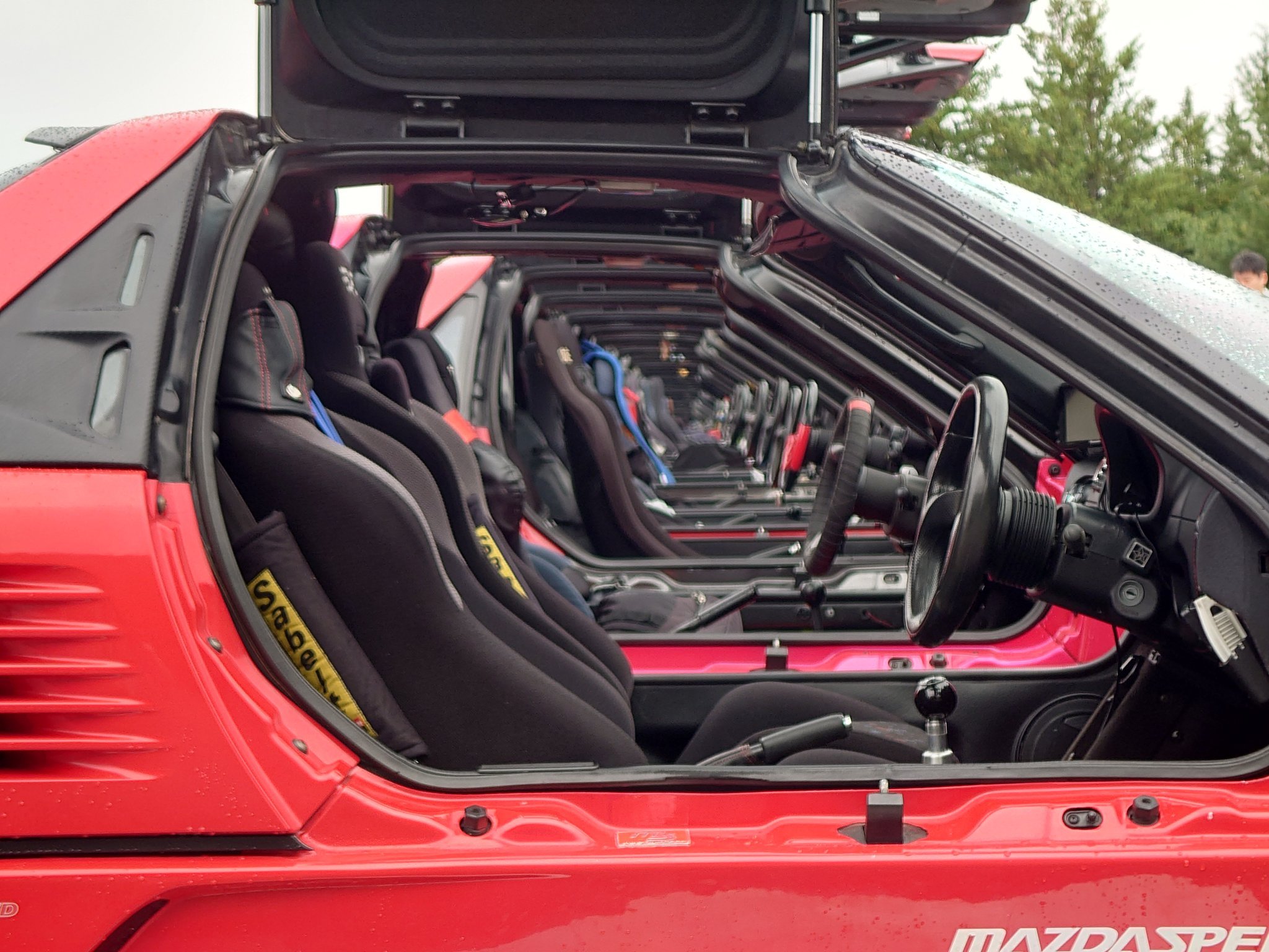 分享图片 ​​​