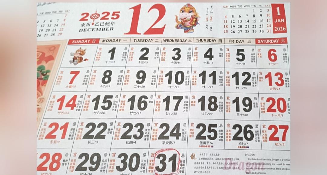 挥别2025，欣然启程2026！在今日头条深耕一载，日日更新从未间断，以热爱坚守