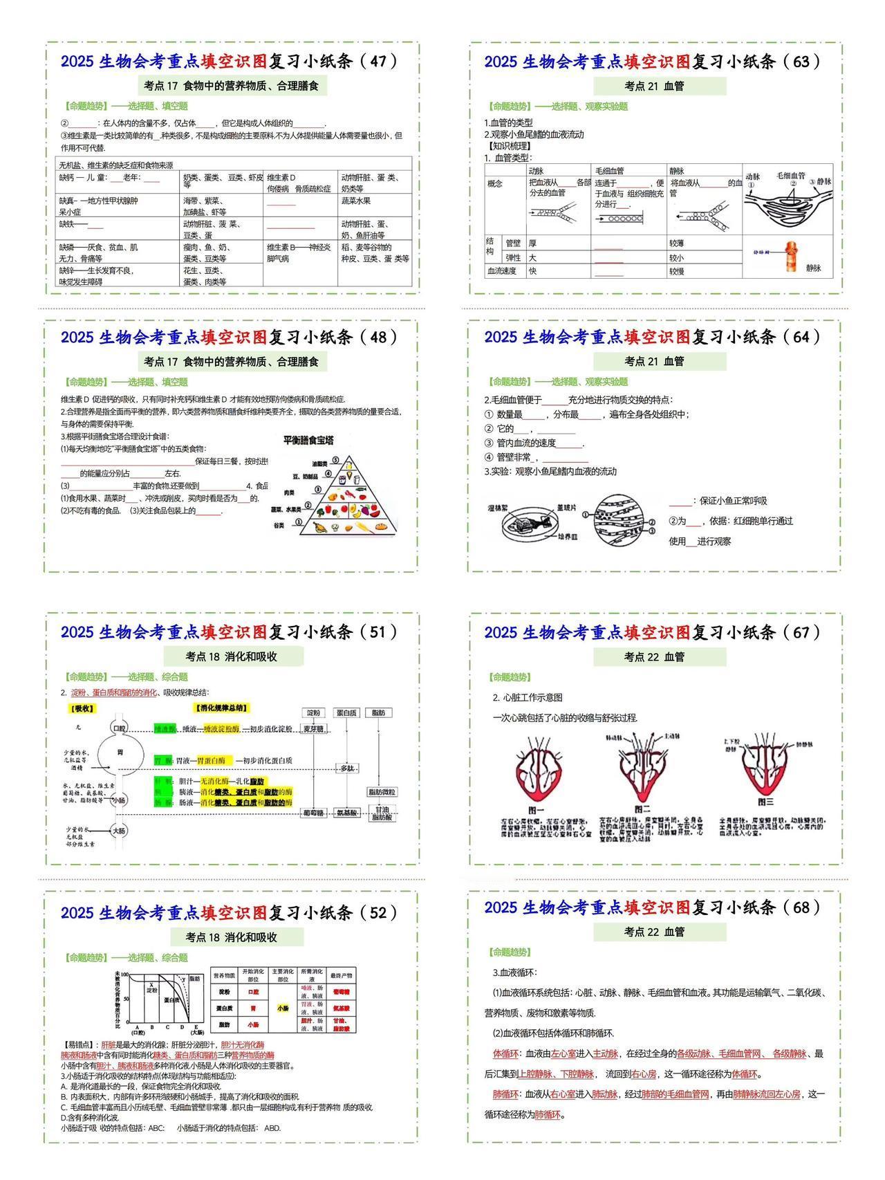 2025生物会考重点填空识图复习小纸条