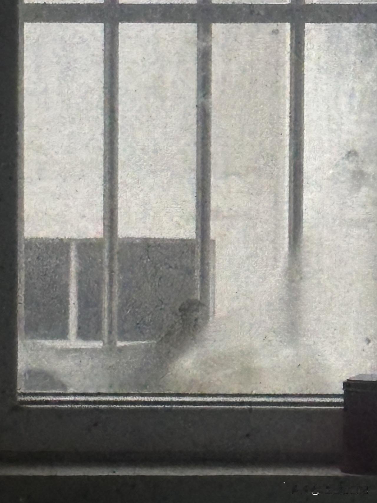 去年冬天，家里大米生虫了，本来想直接丢掉，后来我说，试试放在外面喂小鸟吧。
一直