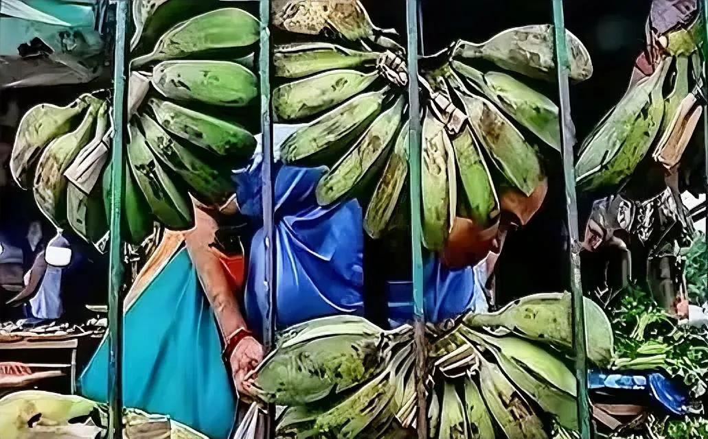 菲律宾香蕉协会负责人，一句话砸在桌上：“中国断了我们30万蕉农的生计！”这位负责