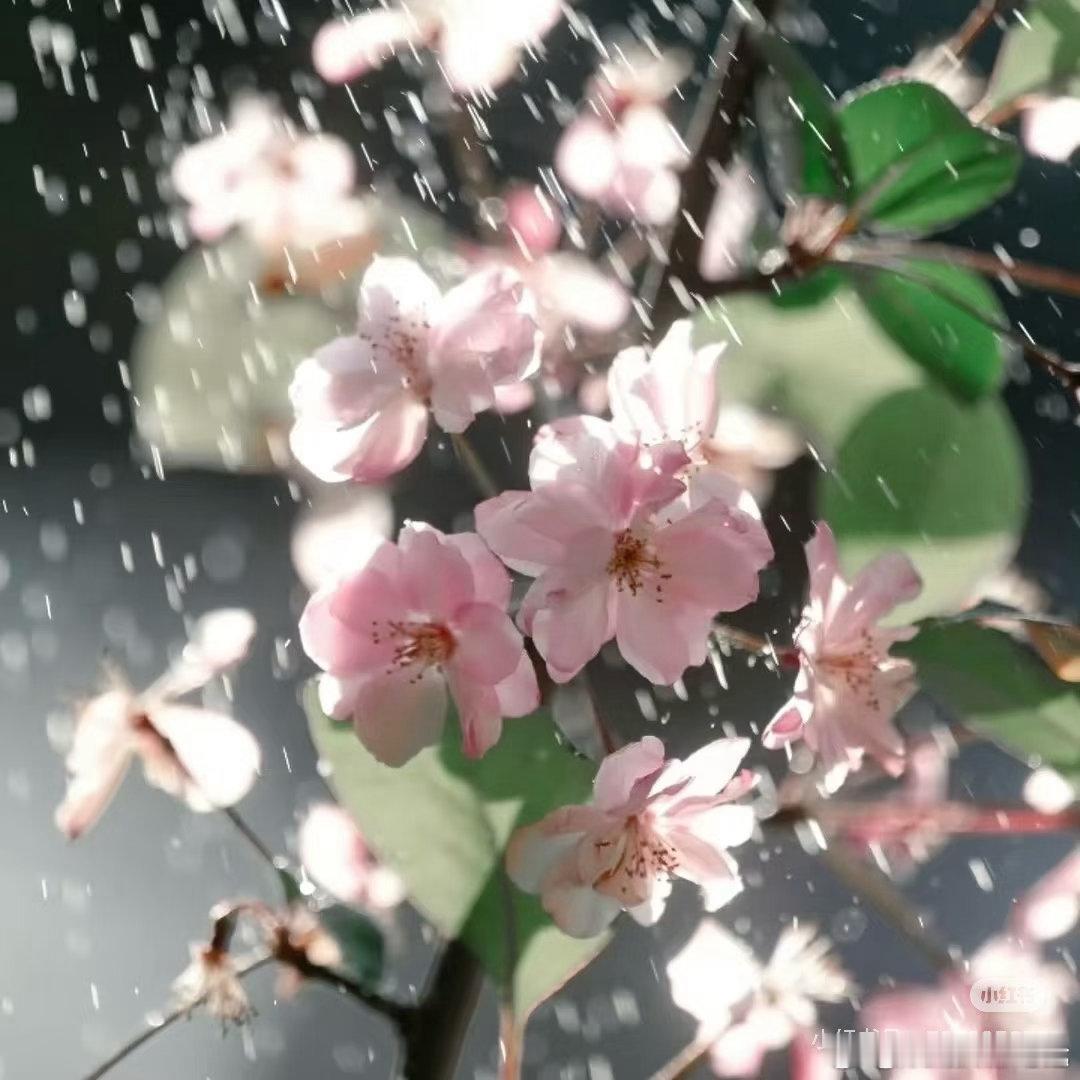 每日一善[超话]  生活里的善意，往往藏在不起眼的瞬间：多一份理解，少一分争执；