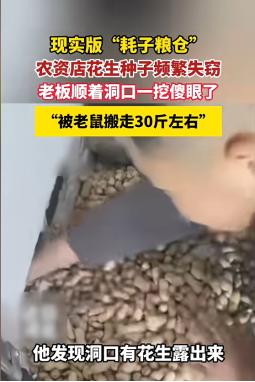 4月26日，河北唐山一名农资店老板近期遇上怪事，店内花生种子莫名持续减少，门窗完