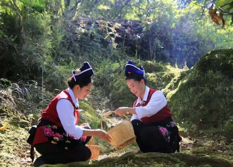 五一劳动节，山坡羊
        今日又是五一劳动节，欣赏元代张养浩的诗《山坡
